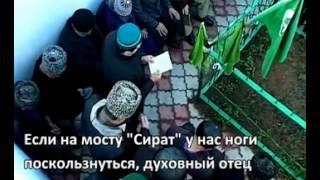 Зиярат на могиле Махмуда Афанди