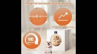 The Ultimate Pet Drying Experience with 88L Foldable Automatic Pet Dryer Box