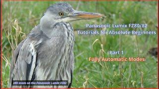 Panasonic Lumix FZ80/82 For Absolute Beginners:  Part 1 Using the Fully Automatic Modes.