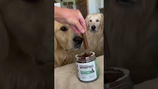 Dogs Loving WINPRO Dental Stix 