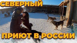 Новый Приют для животных (собак) в Якутии, город Удачный