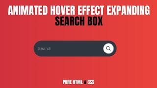 Animated Search Box Using Pure Html And Css | Search Bar Design Html And Css | Css Search Bar