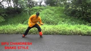 Kung Fu Snake Style   Sifu Chandresh   YouTubevia torchbrowser com