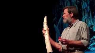 The gardeners of the forest | Ian Redmond | TEDxSouthamptonUniversity