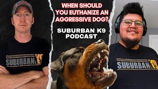 When Should You Euthanize Your Dog for Aggression?