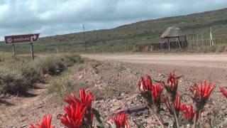 southafrica wilderness amathunzi - südafrika