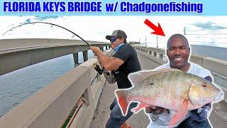 Florida Keys Bridge Fishing with Chadgonefishing