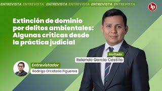 Extinción de dominio por delitos ambientales: Algunas críticas desde la práctica judicial