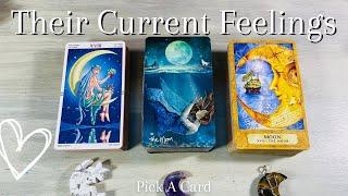 ️‍ Their current feelings for you! PICK A CARD + channeled messages (Timeless) Love Tarot Reading