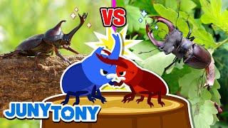 Jaws vs. Horns - The Match of Strength | Insects for Kids | Kids Songs & Stories | JunyTony