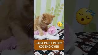 Pijat Plus Plus Happy Ending