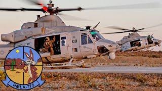 USMC, Coyotes. UH-1Y Venom and AH-1Z Viper helicopters. Military exercises in California.