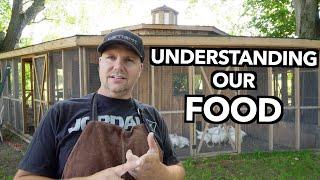 Our Experience Raising Meat Chickens