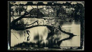 Wet Plate Collodion Process on a budget (300 EUR camera and chemistry included)