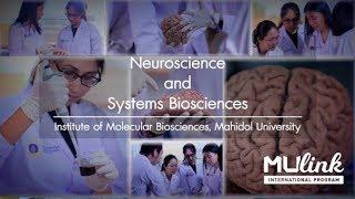 Neuroscience and Systems Biosciences | MU Link International [by Mahidol World]