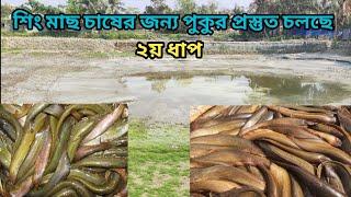 শিং মাছ চাষের জন্য পুকুর প্রস্তুত চলছে-২