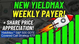 YieldMax's NEW Direct Competitor To XDTE! Will it Outperform? Higher Dividends?