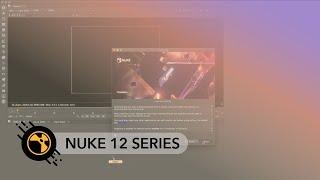 Nuke 12.2 | Floating License Roaming