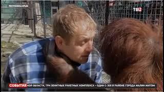 Репортаж ТВЦ про Дану и тигренка! Тайган Orangutan and tiger cub!