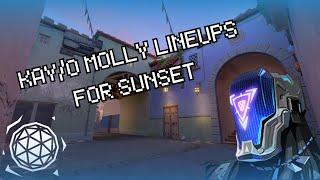 Quick Kayo Molly Lineups for Sunset