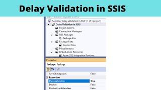 79 Delay Validation in SSIS