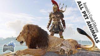 Assassin's Creed Odyssey Beastmaster Tame All Pet Animals Locations