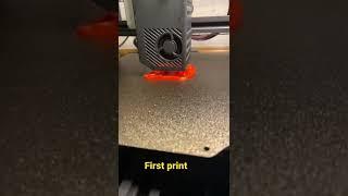 Voxelab Aquila S2 3D  printer. First print.