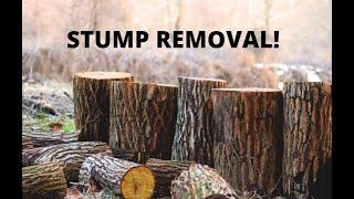 How To Remove A Stump Without Heavy Expensive Equipment! Ep 4