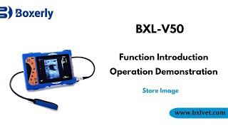 BXL-V50 Veterinary Ultrasound Function Introduction Operation Demonstration.