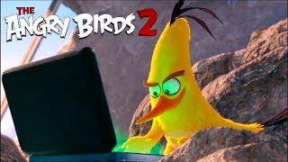 The Angry Birds Movie 2 - Funny Moments Scenes Chuck Speed