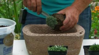 Planting Hypertufa: Rose-Hill Gardens Video Series Episode Four