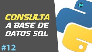 CÓMO HACER una CONSULTA a SQL - SQL SERVER | Curso de Python Intermedio #12