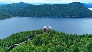 The Malahat Skywalk on Vancouver Island - DJI Mini 4 Pro