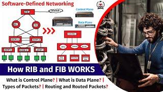 2. Software-Defined Networking | Separation Of Control Plane and Data Plane | RIP and FIB Tables