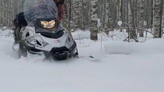 Снегоход Тайга Патруль 800SWT. Тест на проходимость без дороги в лесу.