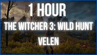 [ 1 HOUR ] The Witcher 3: Wild Hunt - VELEN Ambience with Music  [Relax/Study/Sleep]
