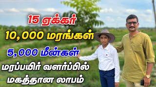 3000 மகோகனி, 3000 தேக்கு, 4000 மலை வேம்பு🪴 மற்றும் 5,000 விரால் மீன் வளர்ப்பு | Smart Vivasayi