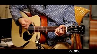 Cort AF510 VS Cort AD810 / Cort Guitar