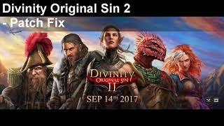 Divinity Original Sin 2 game not starting on pc