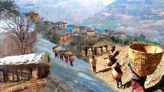 Very Hardworking Nepali Mountain People || Mountain Life of Nepal || IamSuman