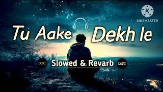 TU_AKE_DEKH_LE (Slowed & Revarb)