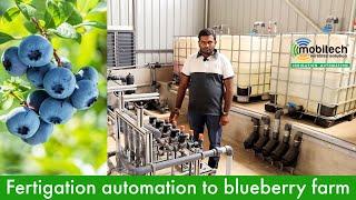 Full video - March 2023 -  Fertigation automation for blueberry by Mobitech #fertigation #blueberry