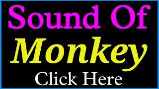 Sound of Monkey | Monkey ka Sound | Sound of Monkey is called | Monkey ke awaaz