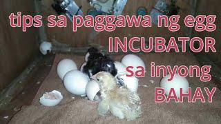 Paano Gumawa ng Egg Incubator DIY | Junba Teks