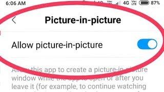 Allow picture-in-picture || Application Permission in Redmi Note 5 Pro