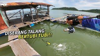 DISERANG PENGHUNI KELONG ALI BERTUBI TUBI! | CHAIFishing