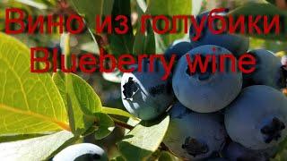 Вино из голубики / Blueberry wine