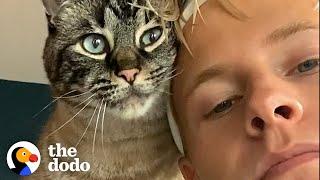 Clingy Cat Has To Be With Dad 24/7 | The Dodo Soulmates