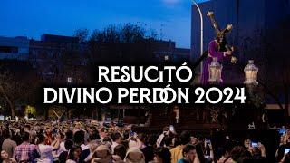 Resucitó | Divino Perdón Parque Alcosa 2024 | Virgen de los Reyes