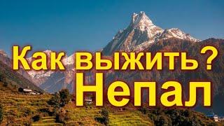 Как выжить? Непал. Работа на удаленке, цены, бизнес идеи.